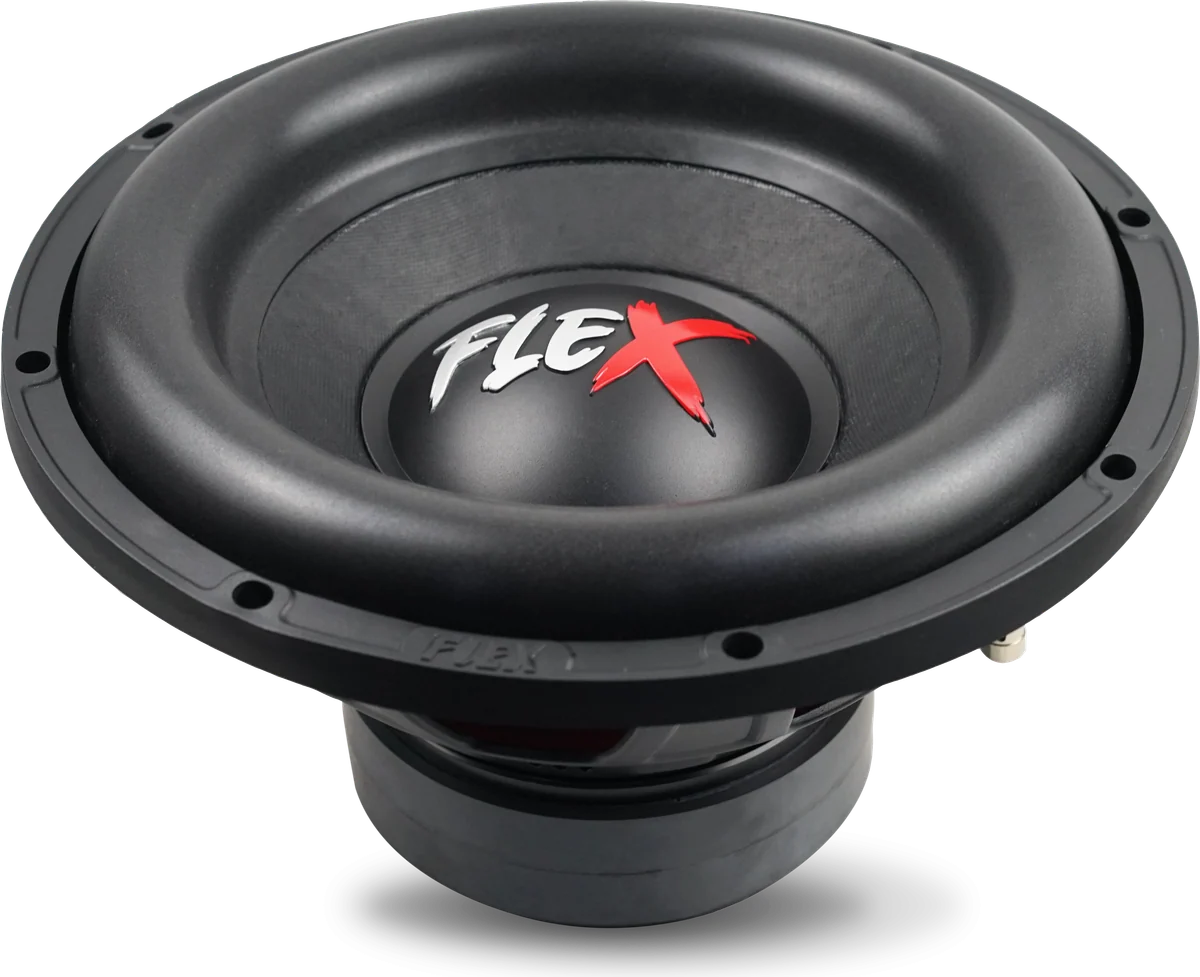FX-12 800 D4 cone and surround detail